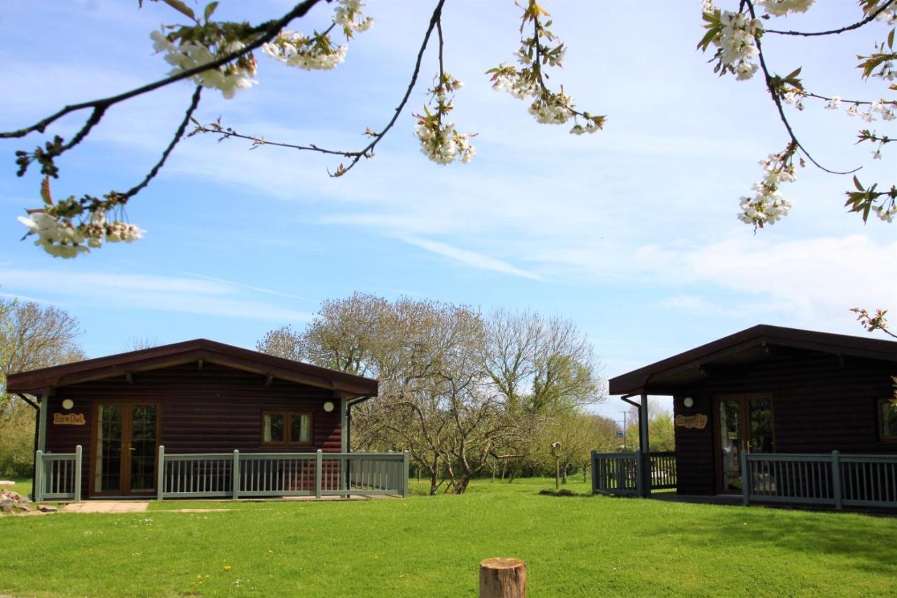 Wall Eden Farm - Luxury Log Cabins And Glamping Highbridge Eksteriør bilde