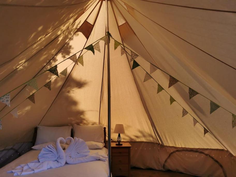 Wall Eden Farm - Luxury Log Cabins And Glamping Highbridge Eksteriør bilde