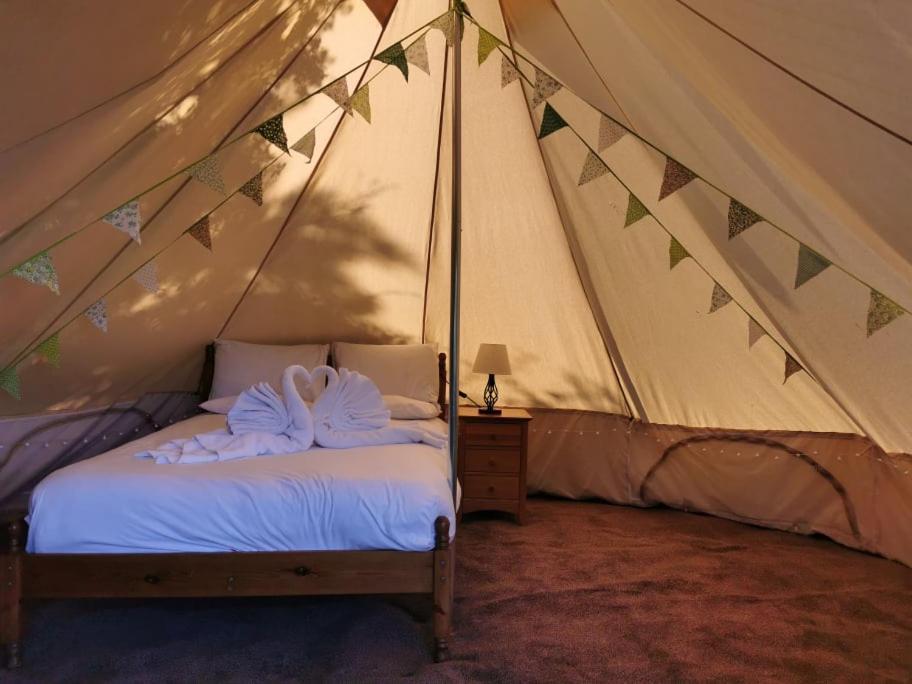 Wall Eden Farm - Luxury Log Cabins And Glamping Highbridge Eksteriør bilde