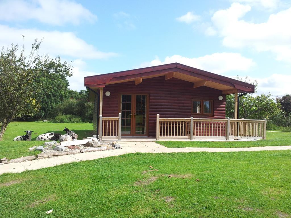 Wall Eden Farm - Luxury Log Cabins And Glamping Highbridge Rom bilde
