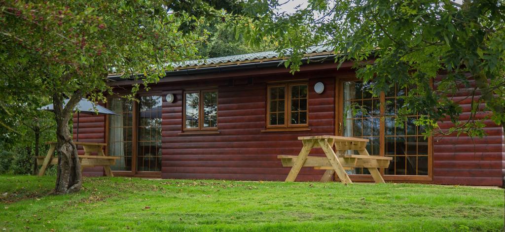 Wall Eden Farm - Luxury Log Cabins And Glamping Highbridge Eksteriør bilde